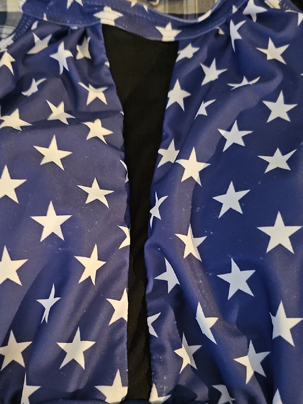 Bathing Suit - Picture 2 of 4